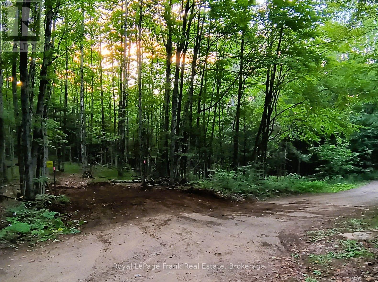 0 North Rusaw Road, North Kawartha, Ontario  K0L 1A0 - Photo 4 - X13693560