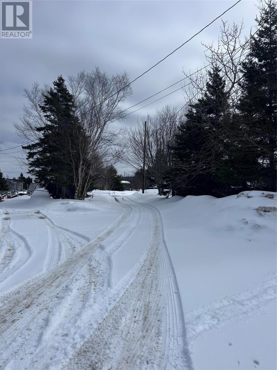 1B Country Road, Cox's Cove — photo 8