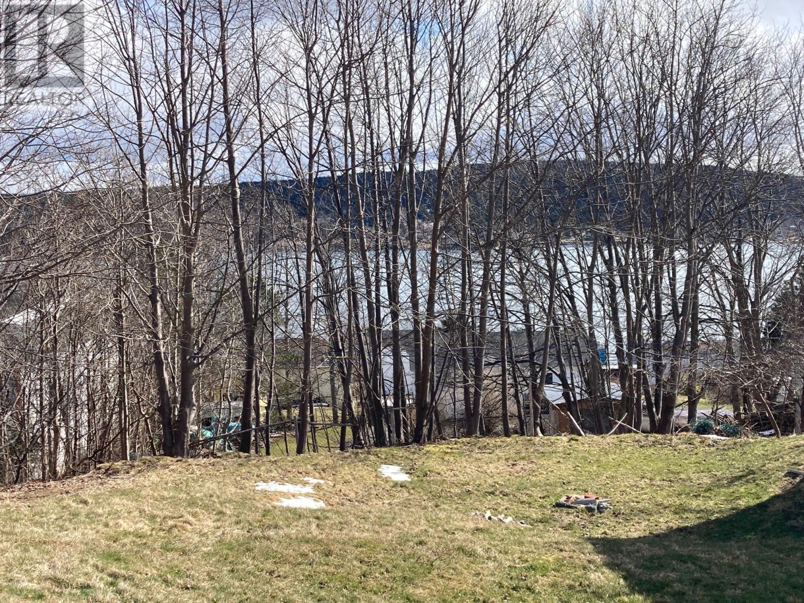 26 Masonic Avenue, Carbonear — photo 4