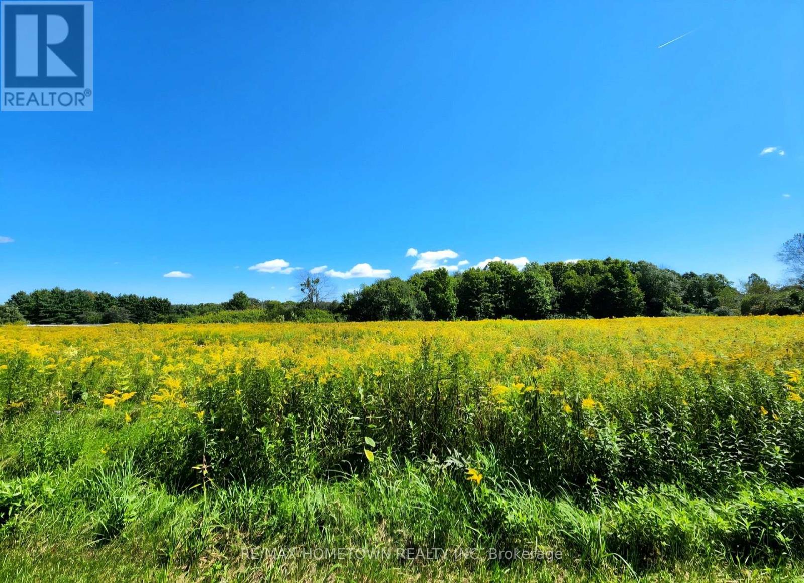 0 Jellyby Road, Elizabethtown-Kitley, Ontario K0E 1A0 - Photo 2 - X13733024