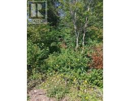 <div class="price">$25,000</div> 11 Point Leamington Highway<br>Northern Arm, Newfoundland & Labrador<br>