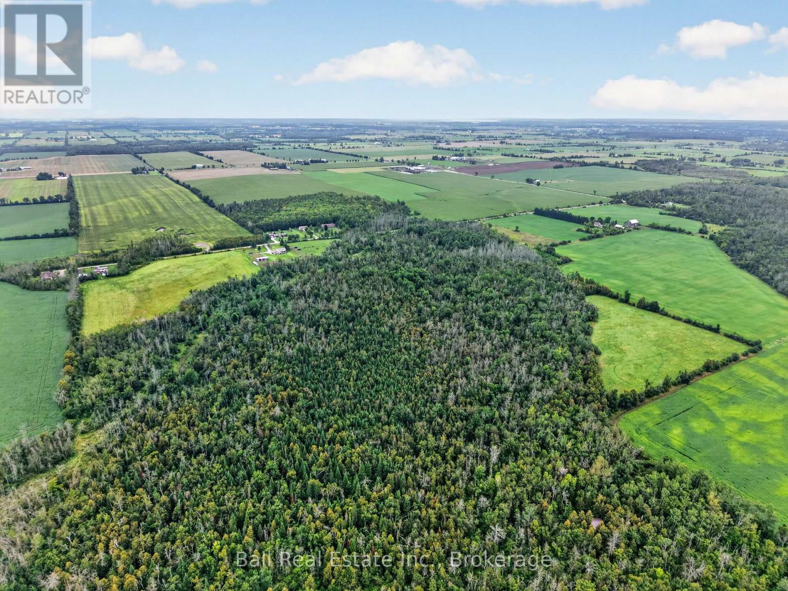 92 Cricket Hollow Road, Kawartha Lakes, Ontario  K0M 2C0 - Photo 6 - X13733112