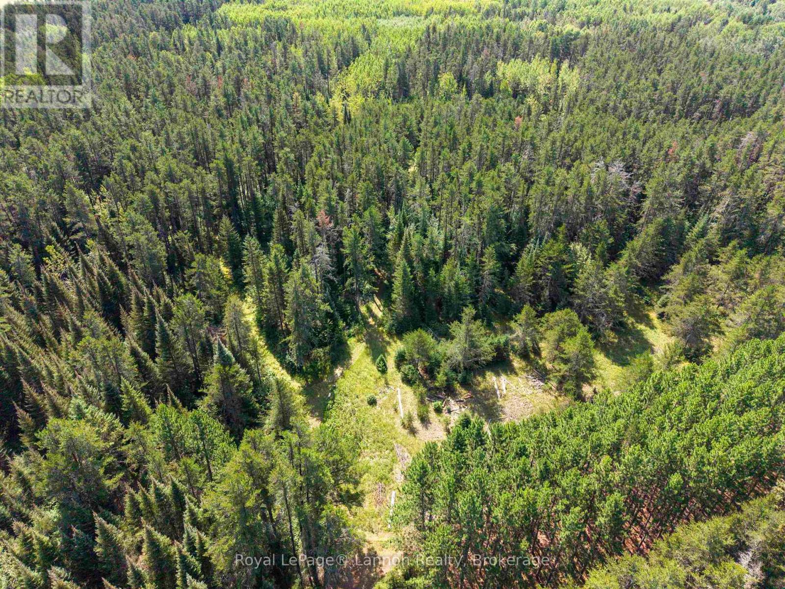 4137 Hwy 11/17, Oliver Paipoonge, Ontario  P7K 0H7 - Photo 31 - X13699950