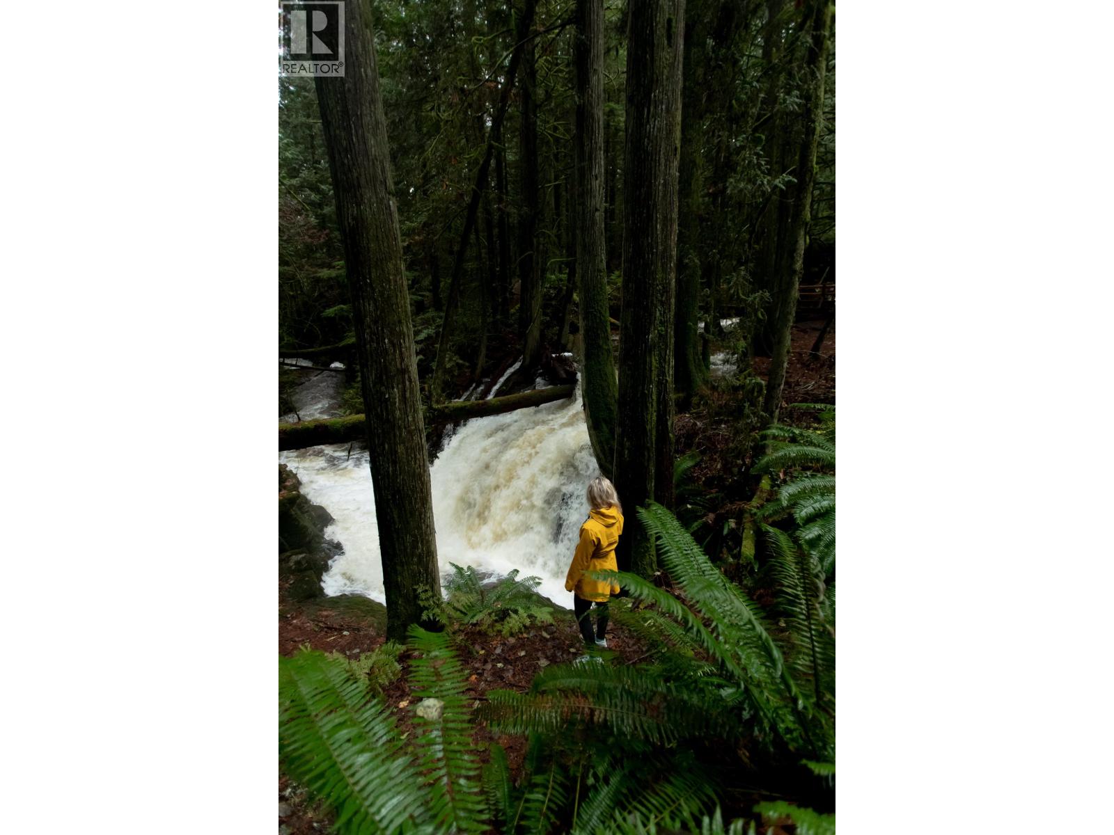 Lot 3 Lower Road, Roberts Creek, British Columbia  V0N 2W4 - Photo 12 - R3160386