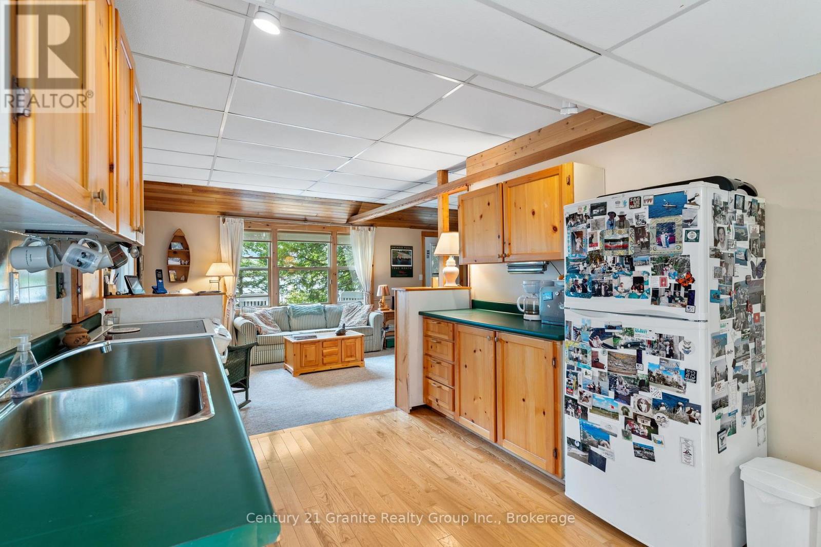 1010 Badger Lane, Dysart Et Al (Harburn), Ontario  K0M 1S0 - Photo 10 - X13733088