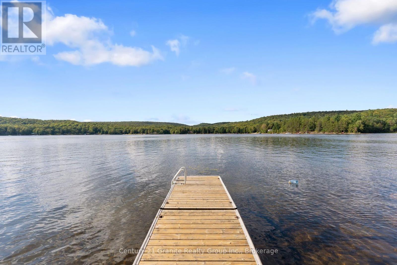 1010 Badger Lane, Dysart Et Al (Harburn), Ontario  K0M 1S0 - Photo 29 - X13733088
