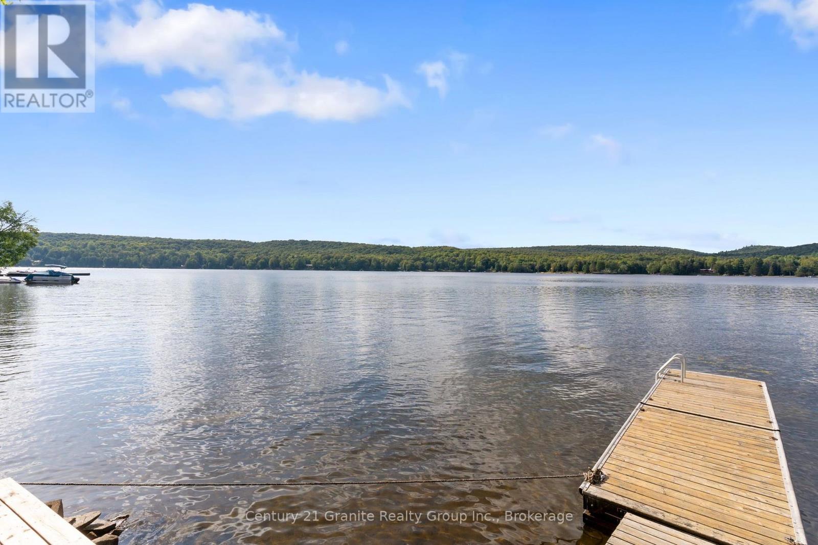 1010 Badger Lane, Dysart Et Al (Harburn), Ontario  K0M 1S0 - Photo 30 - X13733088