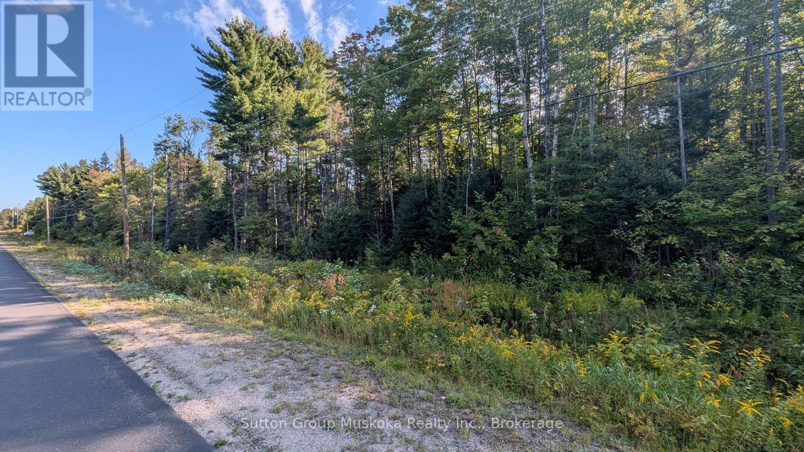 Part 3 Berriedale Road, Armour, Ontario  P0A 1C0 - Photo 3 - X13733146