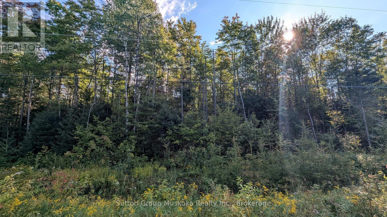 Part 3 Berriedale Road, Armour, Ontario  P0A 1C0 - Photo 4 - X13733146