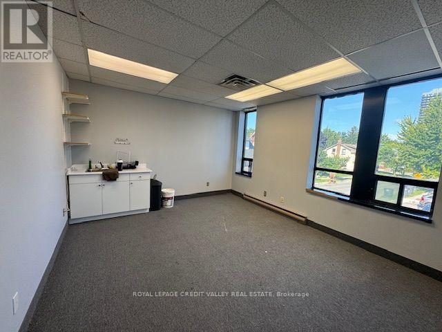 201 - 118 Queen Street W, Brampton, Ontario  L6V 1B1 - Photo 10 - W13247952