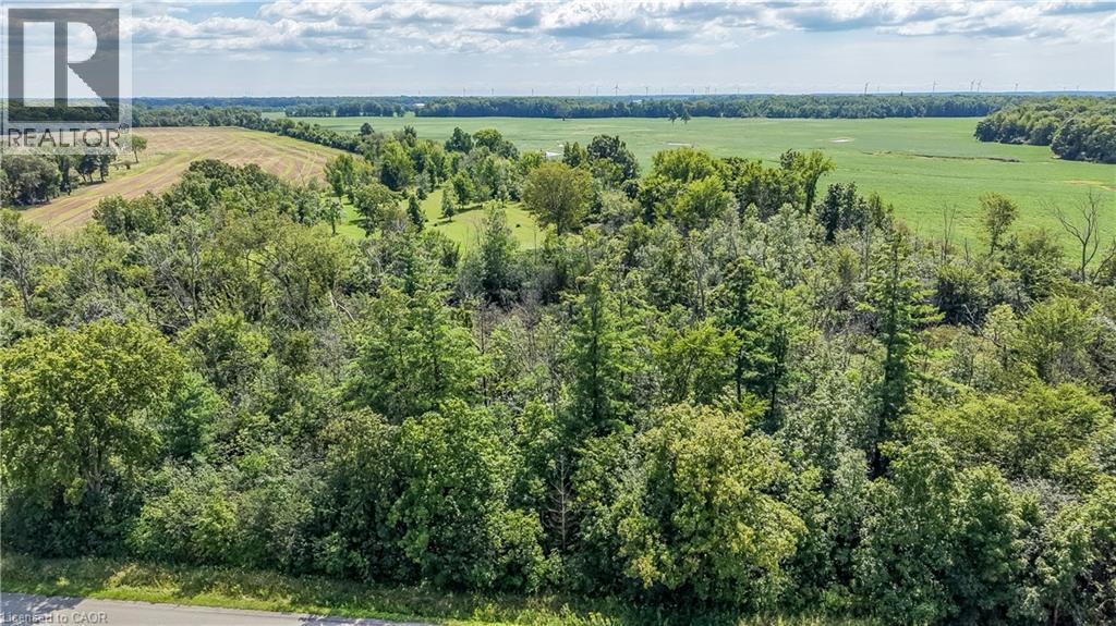 1320 Concession 1 Road, Canfield, Ontario  N0A 1C0 - Photo 19 - 40858530