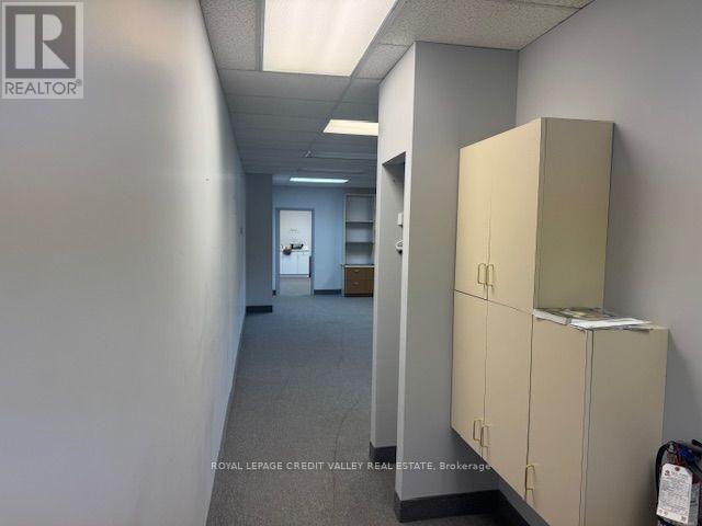 201 - 118 Queen Street W, Brampton, Ontario  L6V 1B1 - Photo 9 - W13247952