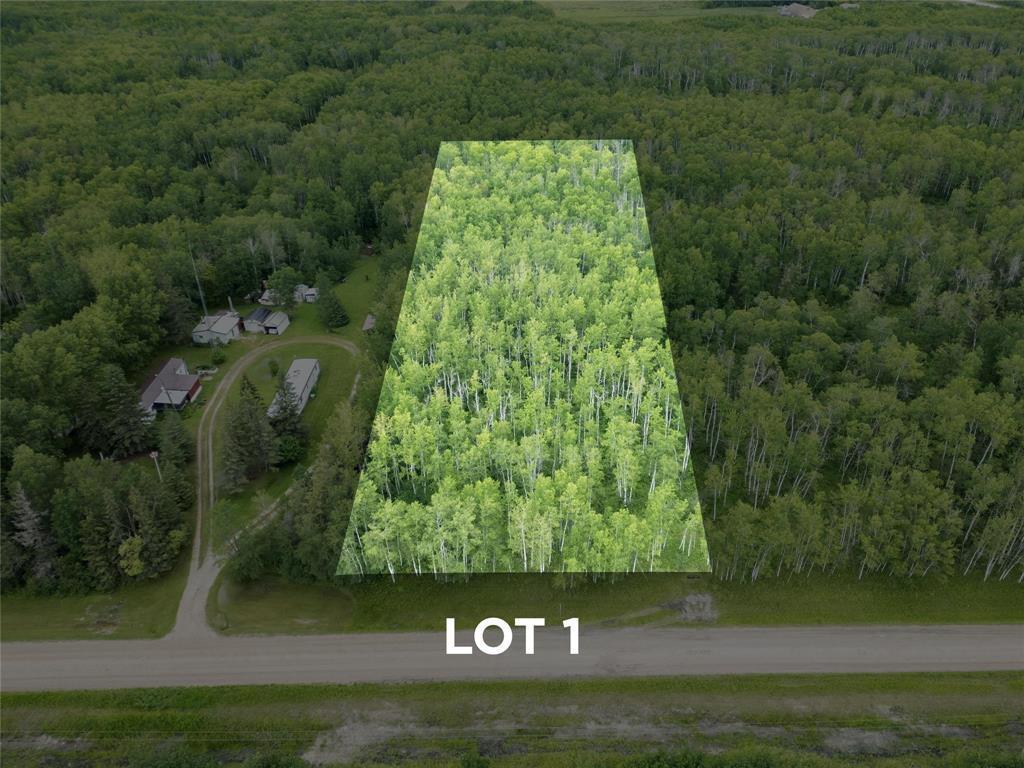 40127 Rosentreter Mile 69 Road, Beausejour, Manitoba  R0E 0C0 - Photo 1 - 202621931