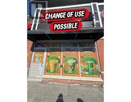 10 - 65 BRAYDON BOULEVARD, Brampton, Ontario
