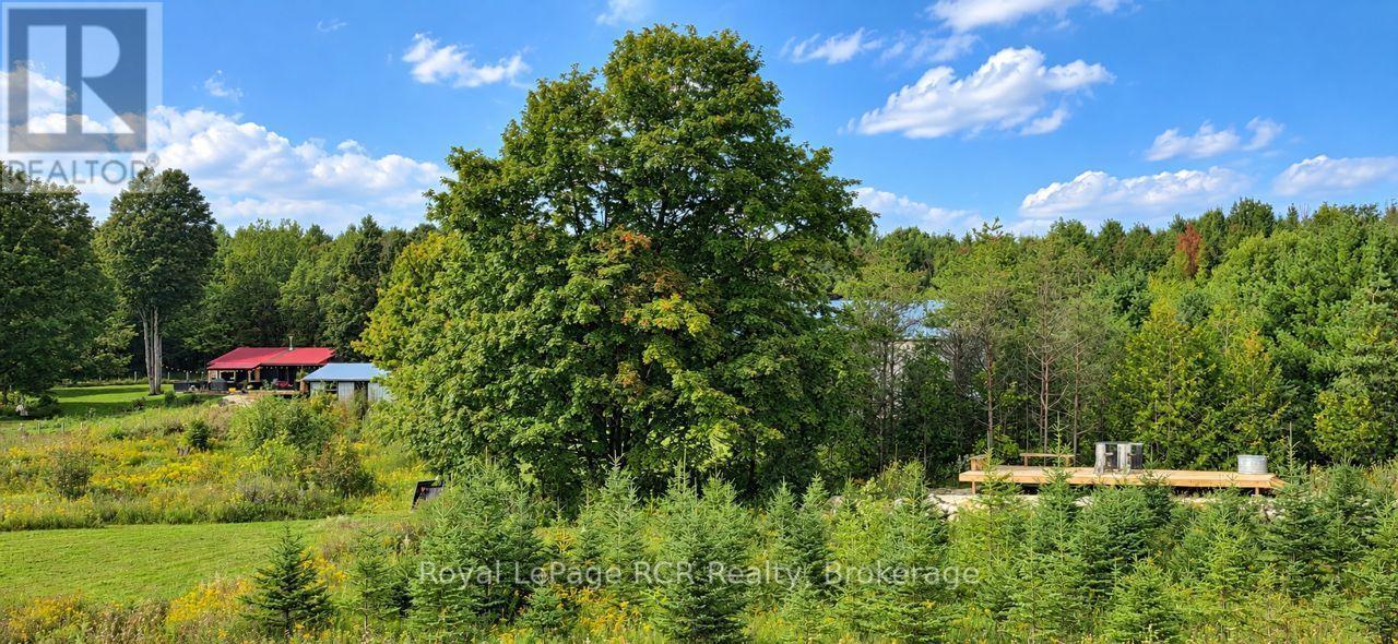585216 Sideroad 10a, Grey Highlands, Ontario  N0C 1H0 - Photo 36 - X13731444