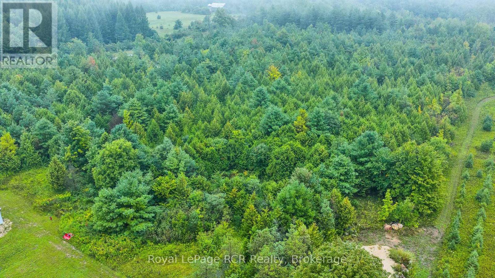 585216 Sideroad 10a, Grey Highlands, Ontario  N0C 1H0 - Photo 45 - X13731444
