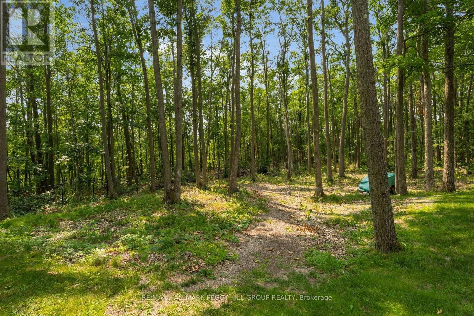 6 Maplehill Drive, Oro-Medonte, Ontario  L0L 2L0 - Photo 19 - S13733812