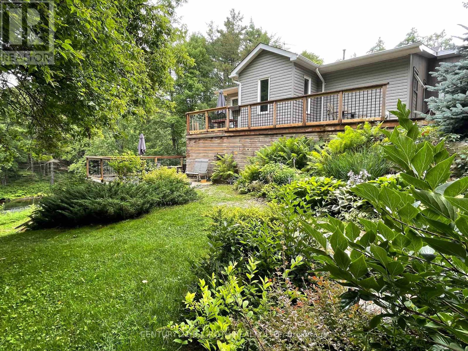 8101 Kings River Road, Ramara, Ontario  L0K 2B0 - Photo 3 - S13733814
