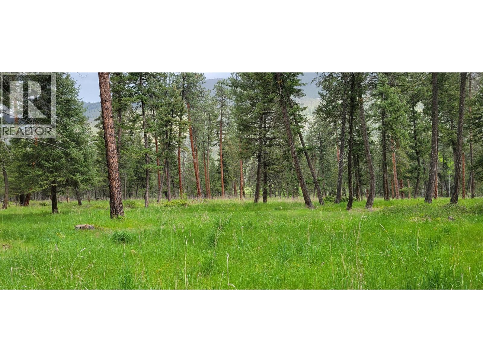 Highway 93 Lot# 1, Grasmere, British Columbia  V0B 1R0 - Photo 15 - 10387301
