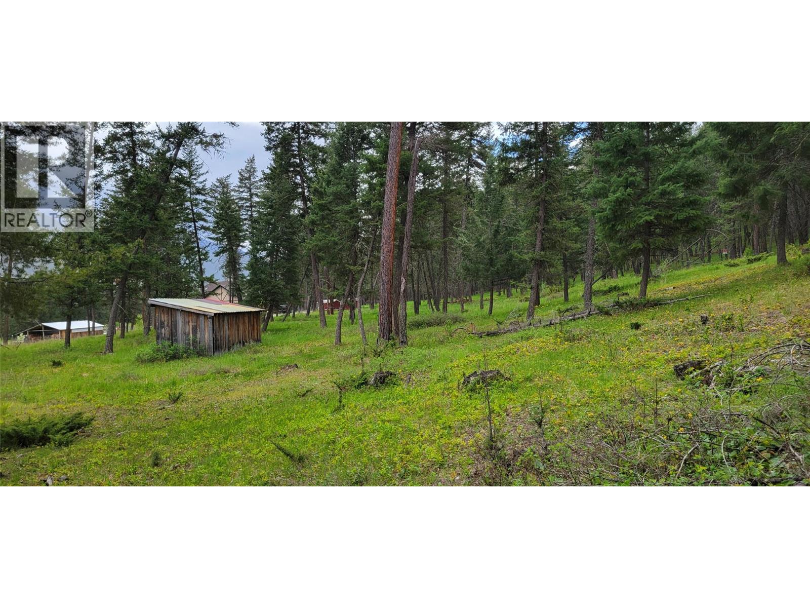 Highway 93 Lot# 1, Grasmere, British Columbia  V0B 1R0 - Photo 23 - 10387301