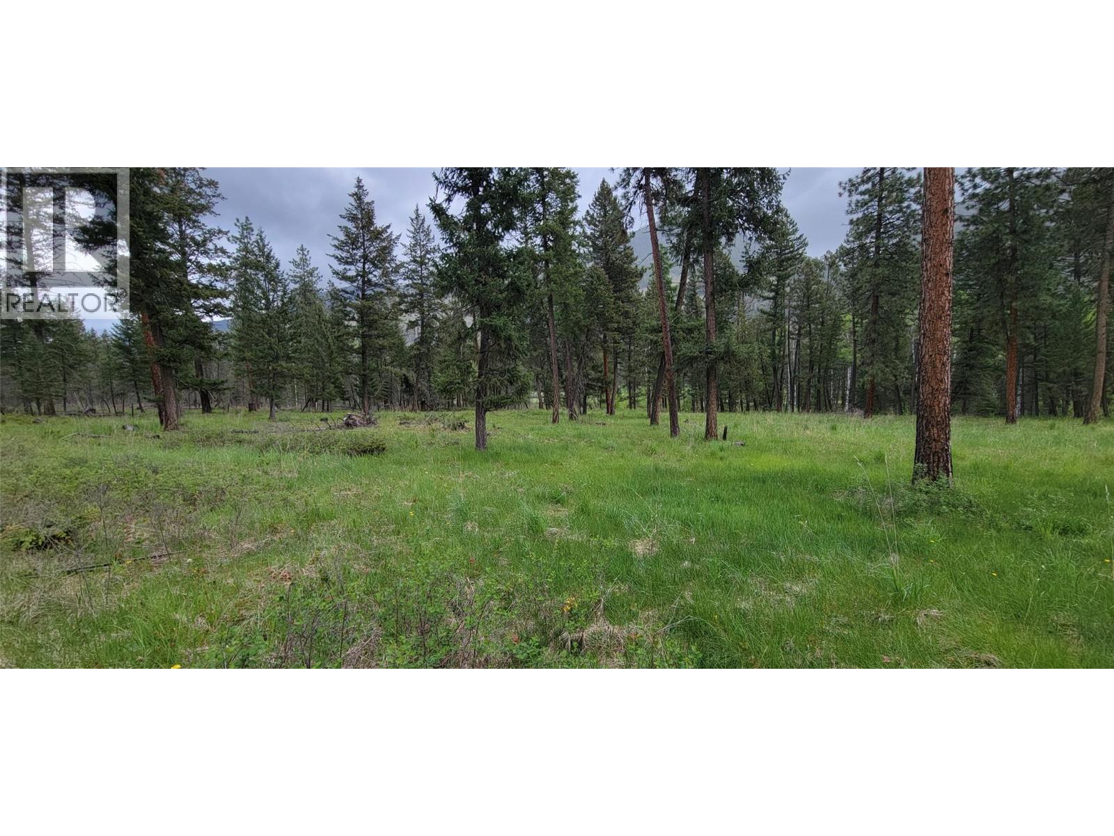 Highway 93 Lot# 1, Grasmere, British Columbia  V0B 1R0 - Photo 25 - 10387301