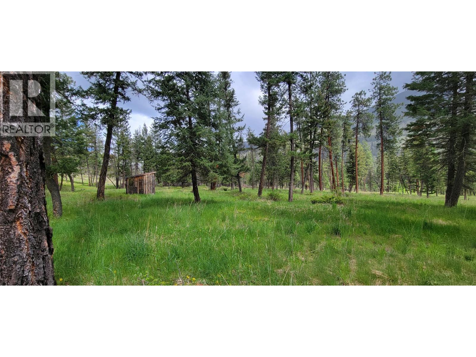 Highway 93 Lot# 1, Grasmere, British Columbia  V0B 1R0 - Photo 14 - 10387301