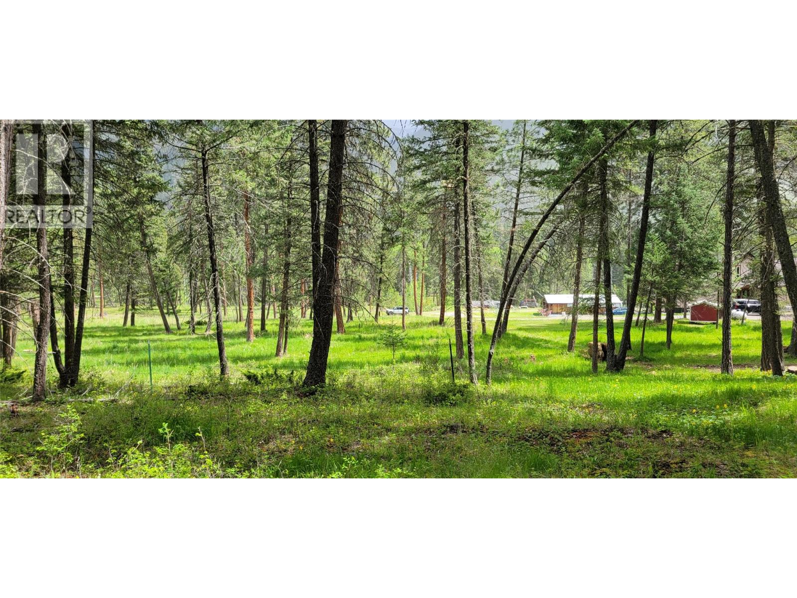 Highway 93 Lot# 1, Grasmere, British Columbia  V0B 1R0 - Photo 16 - 10387301