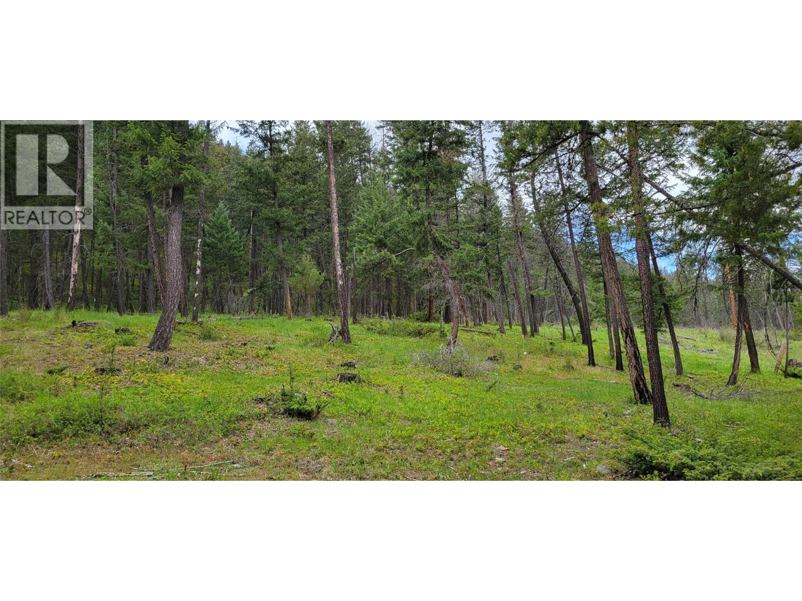 Highway 93 Lot# 1, Grasmere, British Columbia  V0B 1R0 - Photo 22 - 10387301