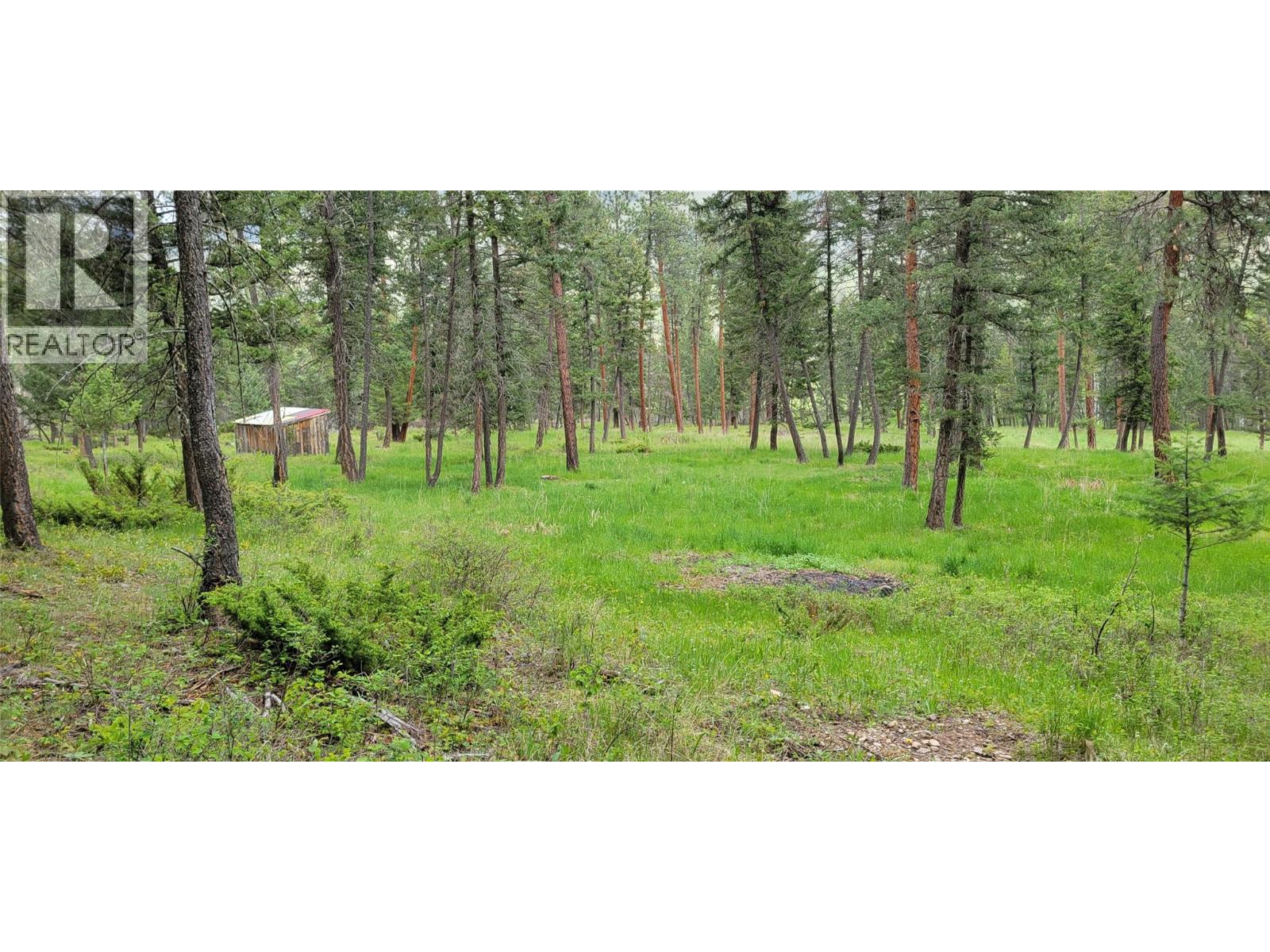Highway 93 Lot# 1, Grasmere, British Columbia  V0B 1R0 - Photo 17 - 10387301