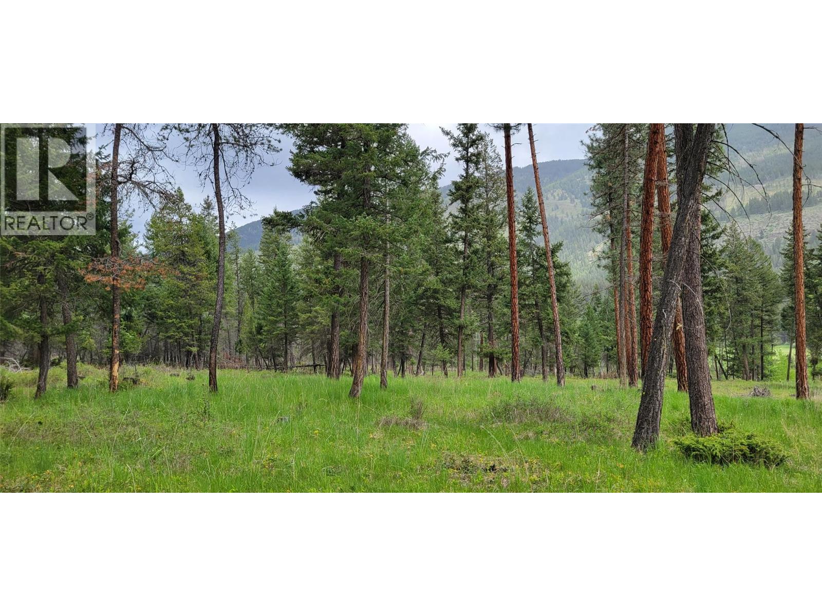 Highway 93 Lot# 1, Grasmere, British Columbia  V0B 1R0 - Photo 19 - 10387301