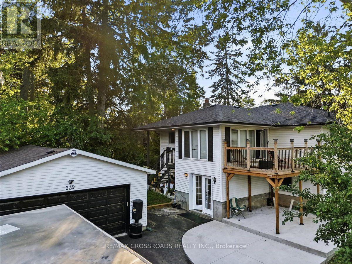 239 Island Road, Toronto, Ontario  M1C 2R1 - Photo 3 - E13734058