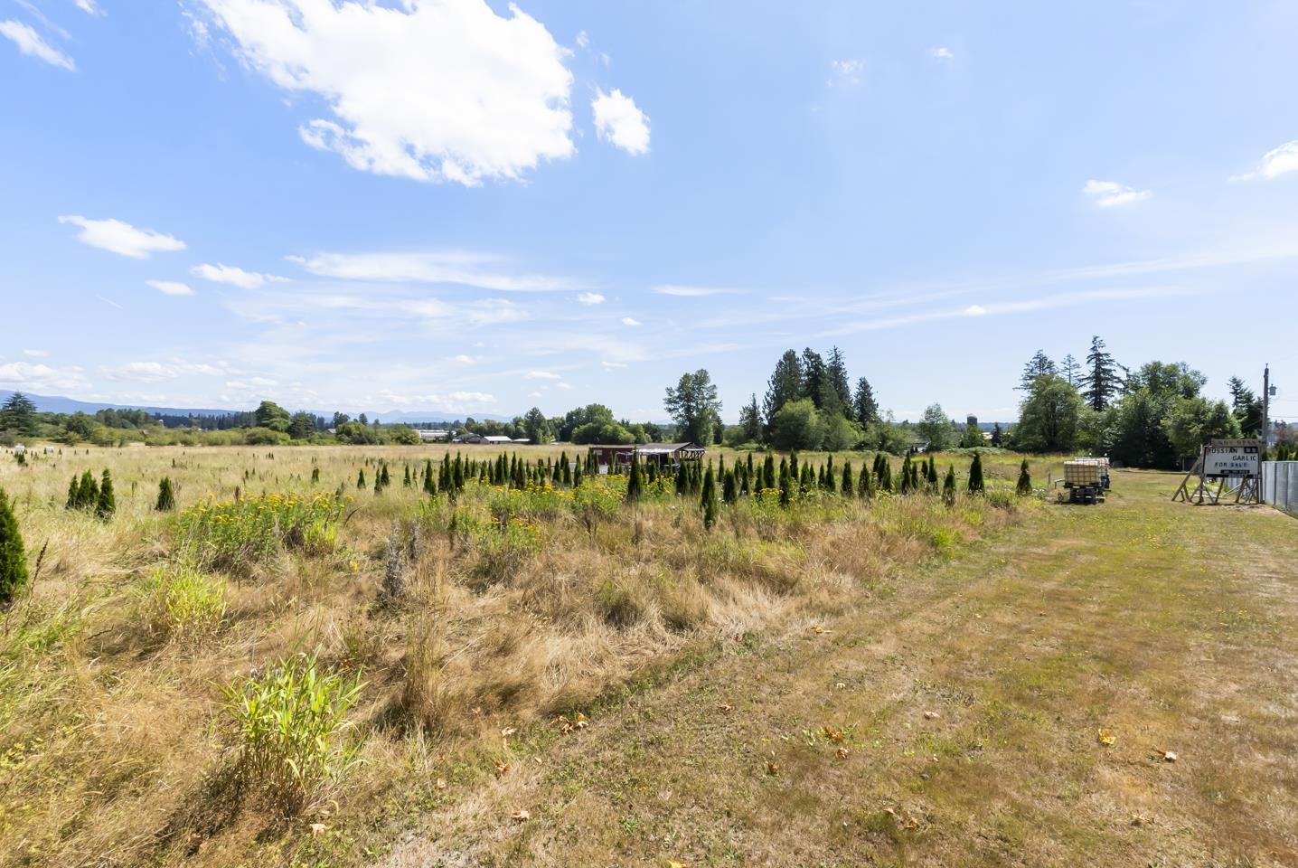 21263 Crush Crescent, Langley, British Columbia  V2Y 2R4 - Photo 9 - R3160260