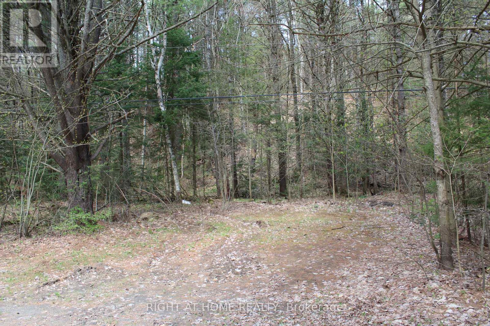 1019 Forrester Trail, Bracebridge, Ontario  P1L 1W9 - Photo 8 - X13734024