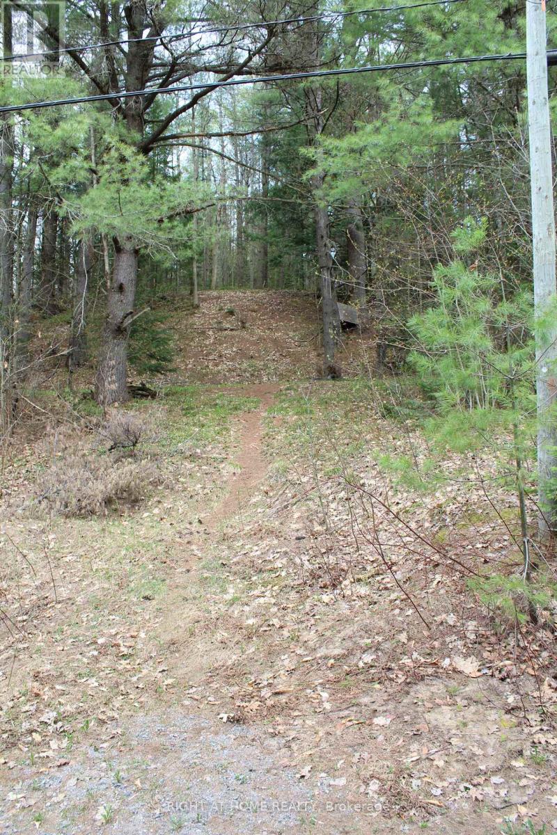 1019 Forrester Trail, Bracebridge, Ontario  P1L 1W9 - Photo 9 - X13734024