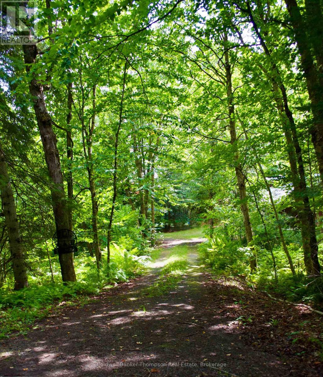 190 Pike Road, Parry Sound Remote Area, Ontario P0A 1X0 - Photo 17 - X13730316
