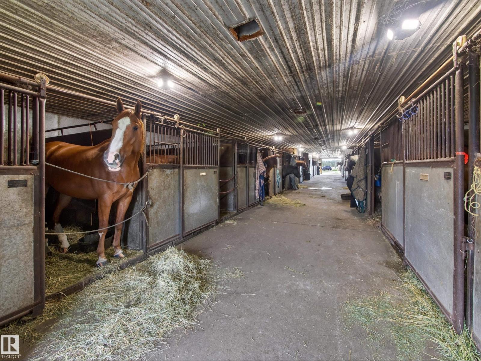 22066 Twp Road 522, Rural Strathcona County, Alberta  T8E 1G2 - Photo 59 - E4506515