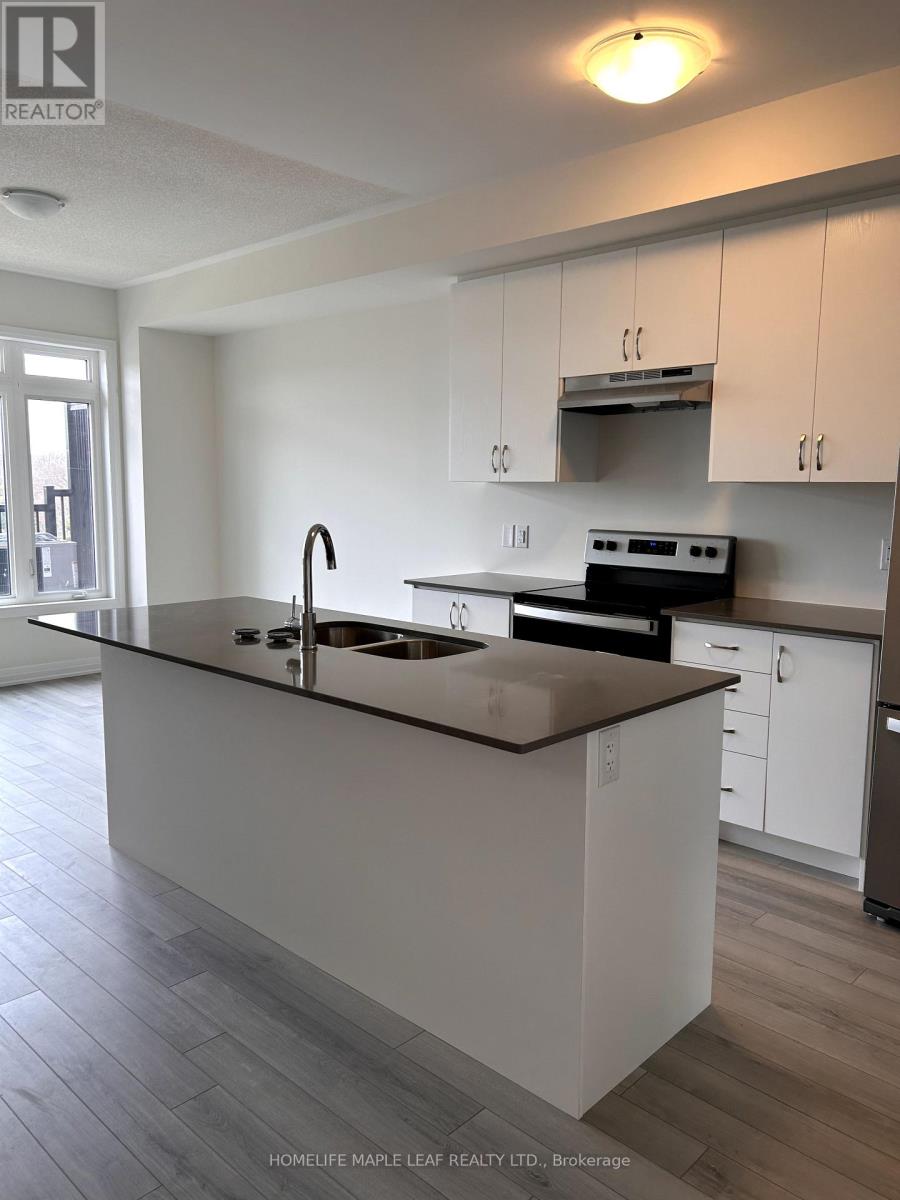 207 - 585 Colborne Street, Brantford, Ontario  N3S 0K4 - Photo 8 - X13734350