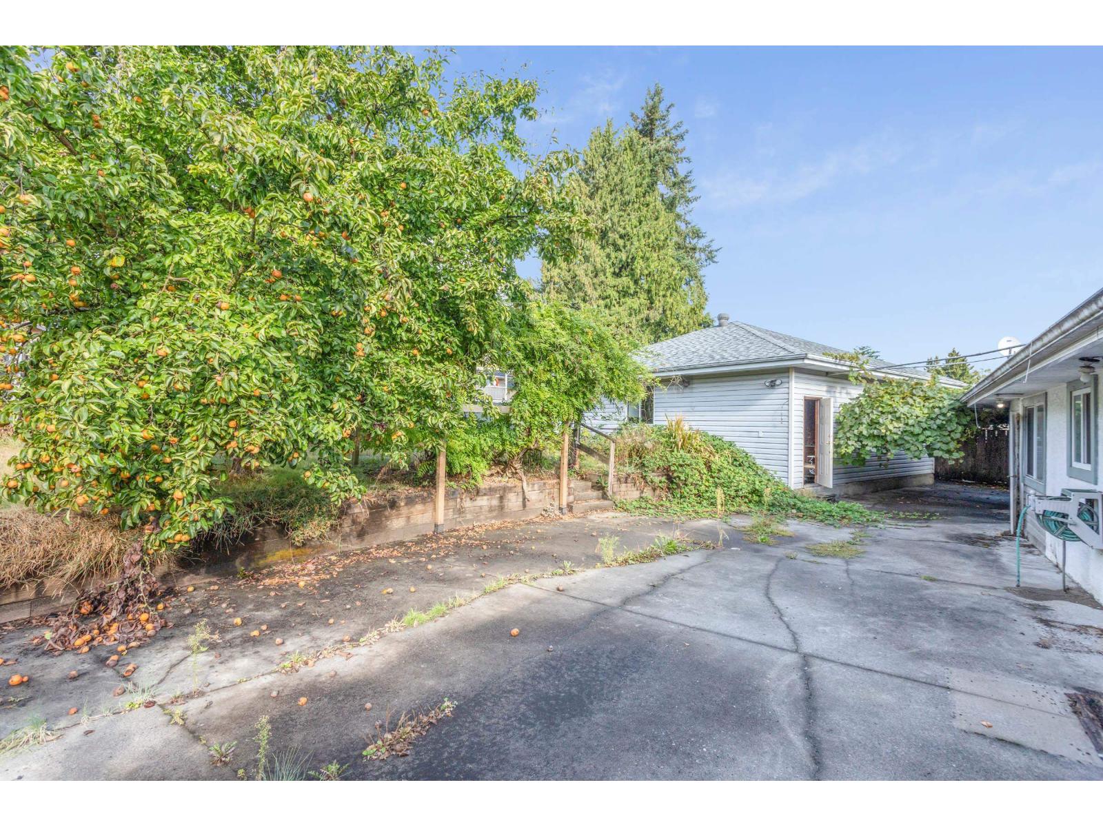 10965 Lark Place, Surrey, British Columbia  V3R 4W1 - Photo 6 - R3160297