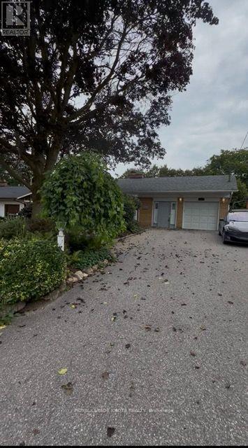 BSMT - 177 ISLAND ROAD, Toronto, Ontario