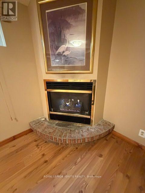 Bsmt - 177 Island Road, Toronto, Ontario M1C 2P9 - Photo 10 - E13734446