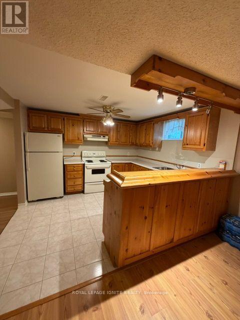 Bsmt - 177 Island Road, Toronto, Ontario M1C 2P9 - Photo 19 - E13734446