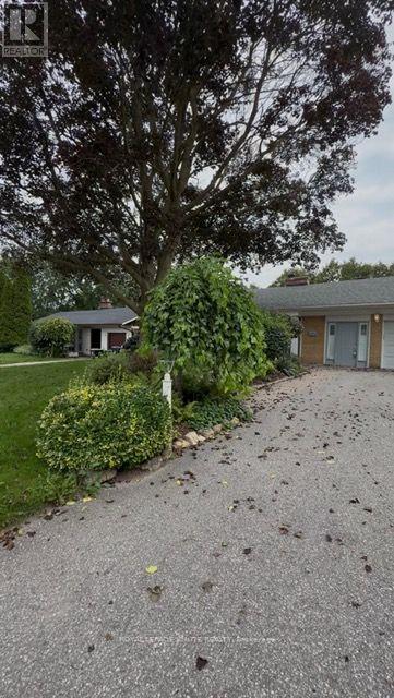 Bsmt - 177 Island Road, Toronto, Ontario M1C 2P9 - Photo 3 - E13734446