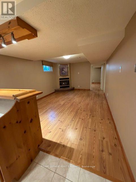 Bsmt - 177 Island Road, Toronto, Ontario M1C 2P9 - Photo 8 - E13734446