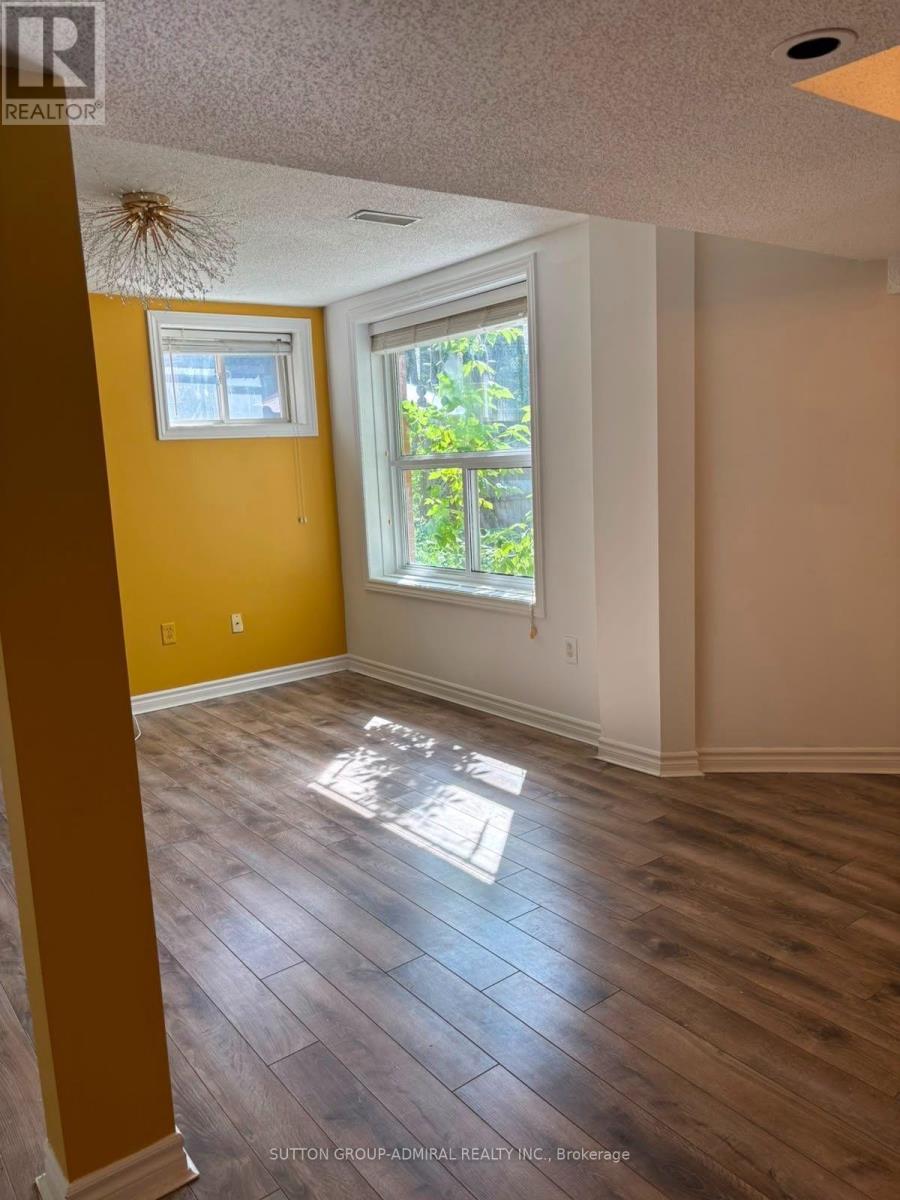 Basement - 91 Grace Crescent, Barrie, Ontario  L4N 9S4 - Photo 5 - S13734508