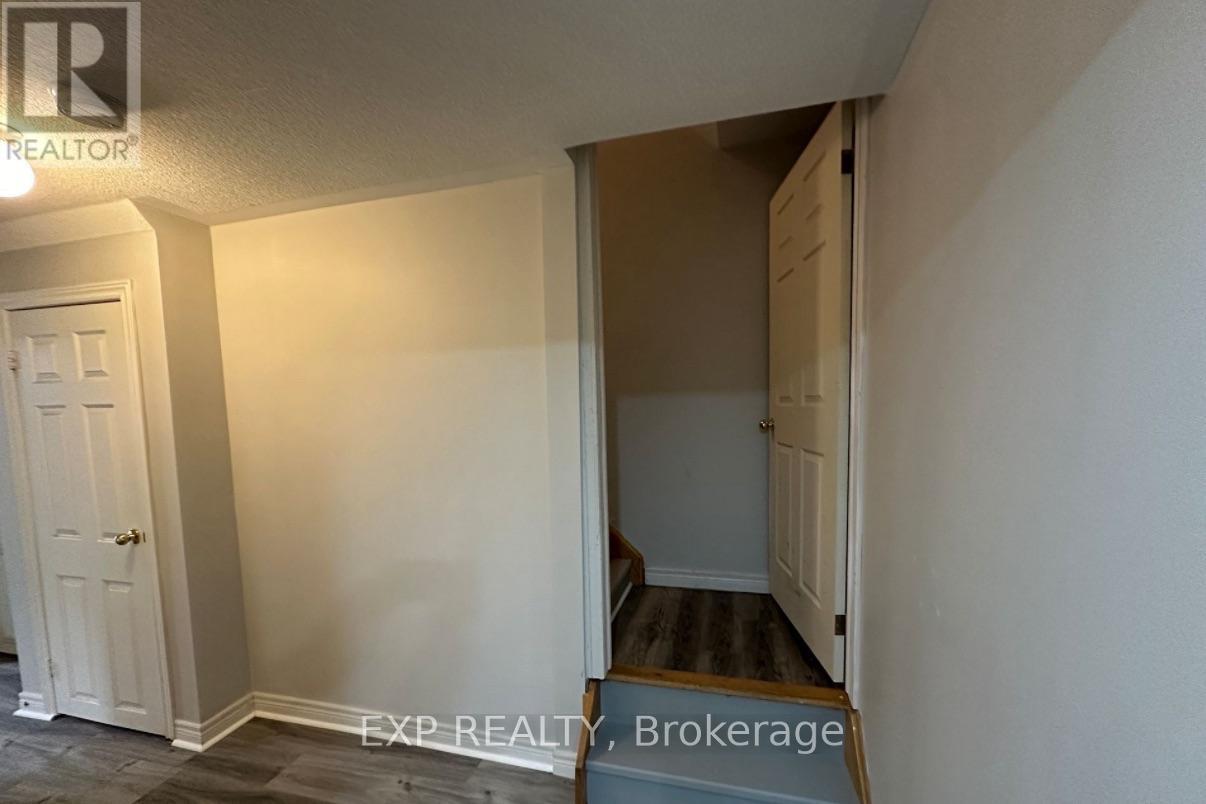 Basement - 5 Fallgate Drive, Brampton, Ontario  L6X 0R5 - Photo 3 - W13734476