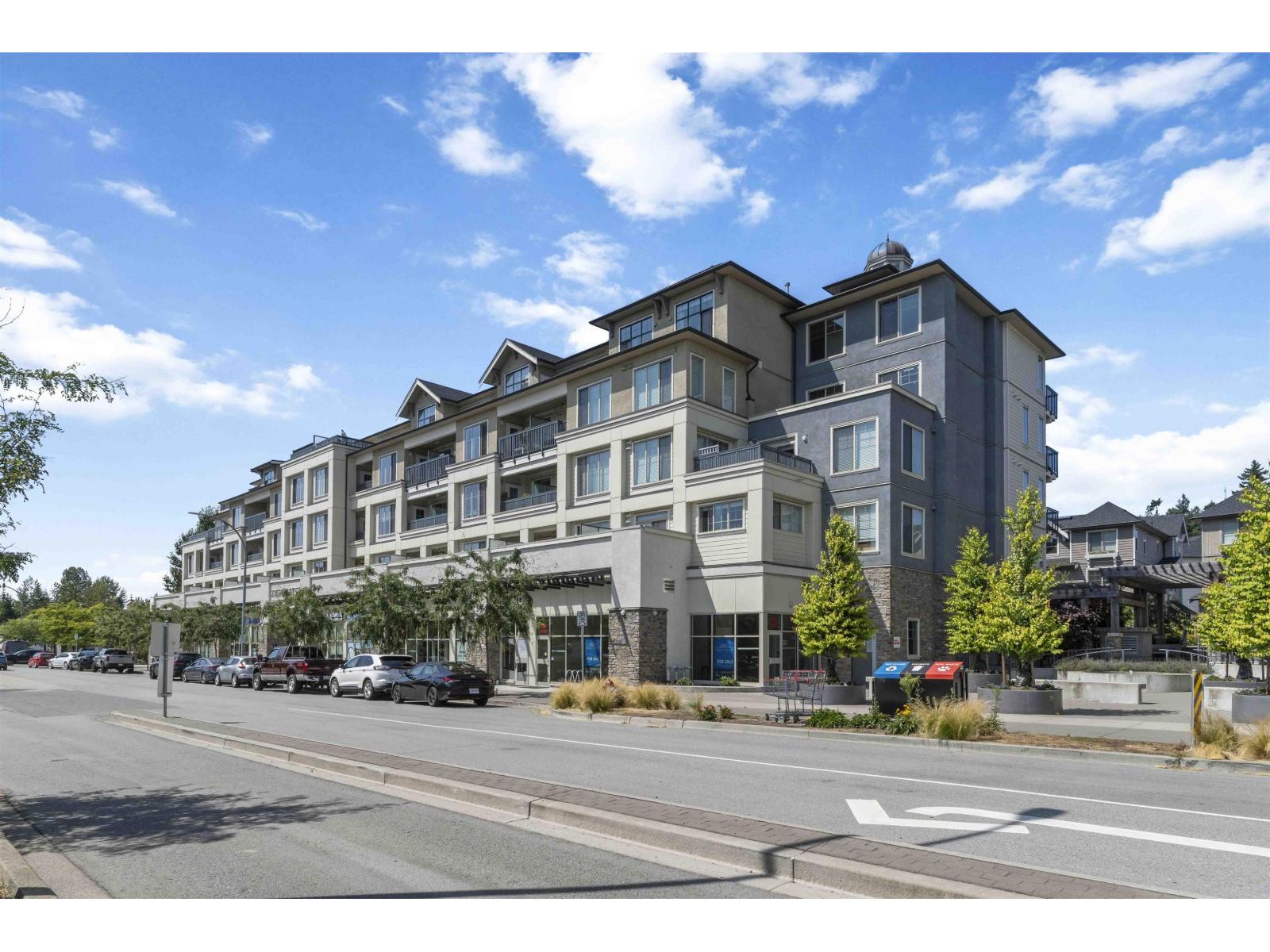 A413 20487 65 Avenue, Langley, British Columbia  V2Y 3K5 - Photo 6 - R3160316
