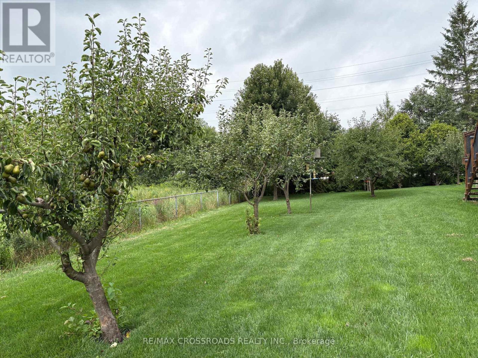 4 Blake Street, East Gwillimbury, Ontario  L0E 1R0 - Photo 4 - N13731298