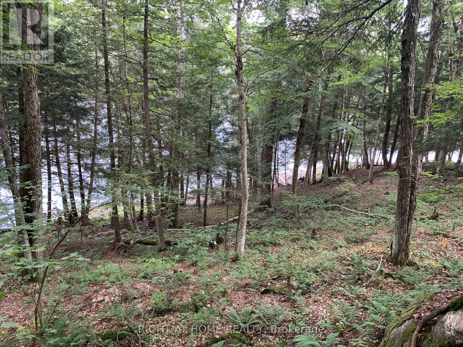Pt 3 Shadows End Lane, Magnetawan, Ontario  P0A 1A0 - Photo 5 - X13734798