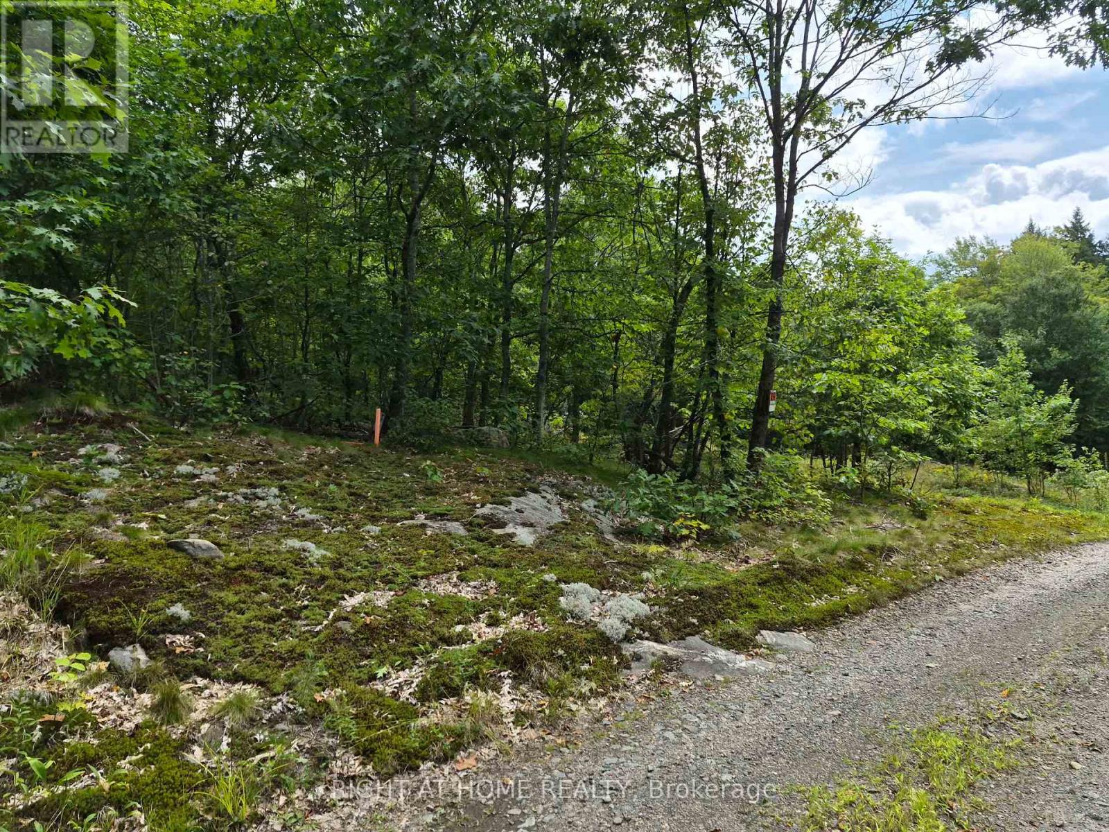 Pt 3 Shadows End Lane, Magnetawan, Ontario  P0A 1A0 - Photo 7 - X13734798