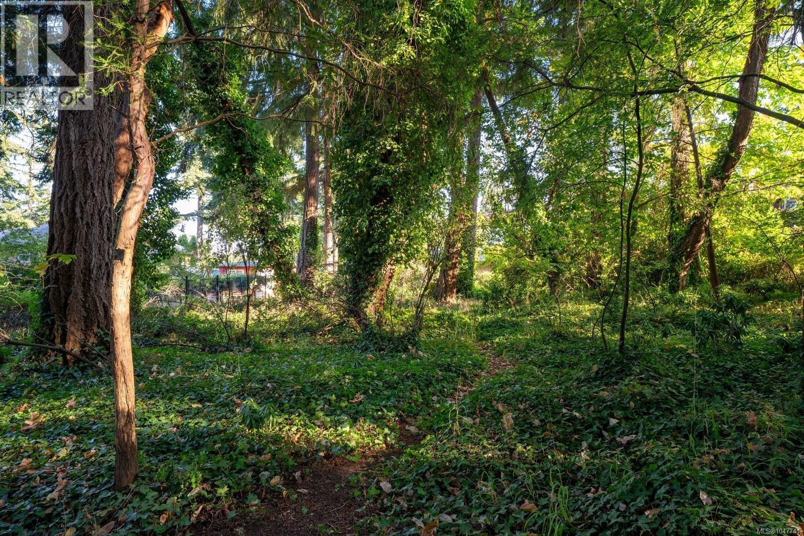 2229 Arbutus Rd E, Saanich, British Columbia  V8N 1V2 - Photo 59 - 1047741
